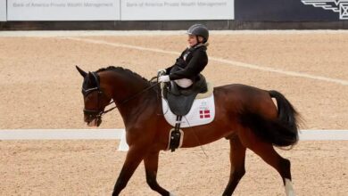 Hipismo nas Paralimpíadas: Descubra os Grandes Campeões e Emoções